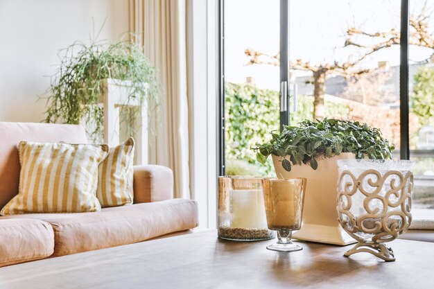 Photo potted plant on table at home