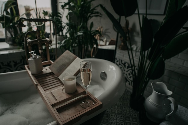 Photo potted plant on table