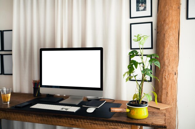 Photo potted plant on table