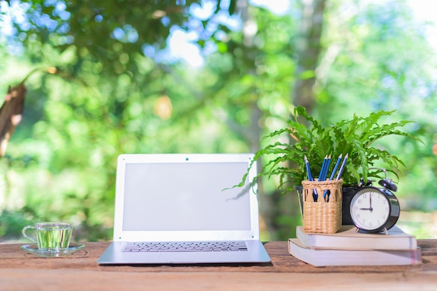 Photo potted plant on table