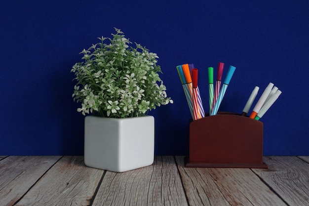 Potted plant on table