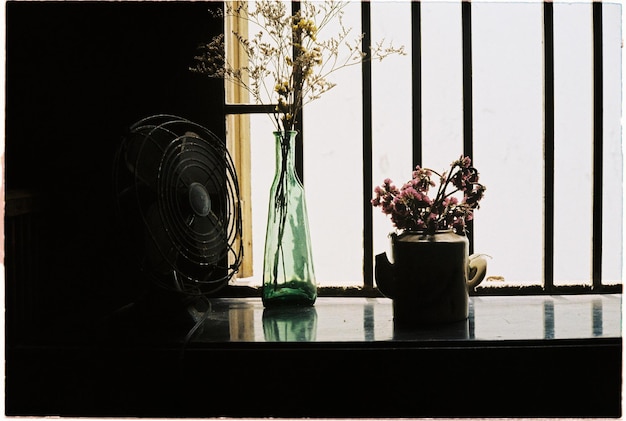 Photo potted plant in vase against window at home