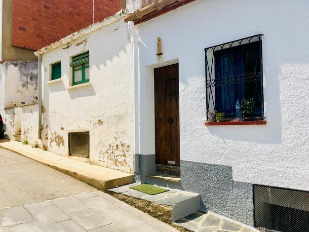 Potted plant on wall of building