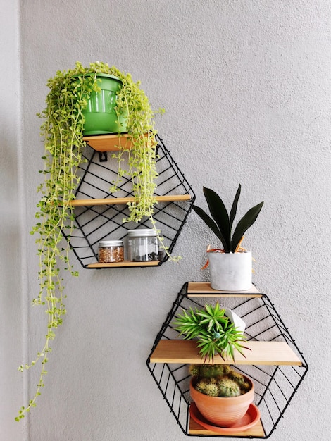 Potted plant wall decor