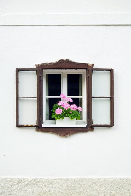 Foto pianta in vaso sulla finestra della casa bianca