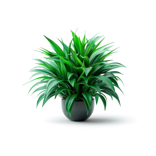 Photo potted plant with green leaves on white background generative ai