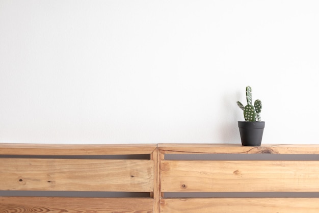 Photo potted plant on wooden table against white background