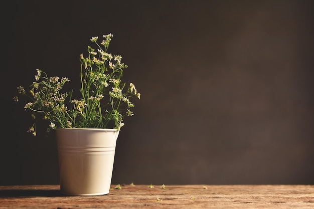 木製のテーブルの上にある鉢の植物