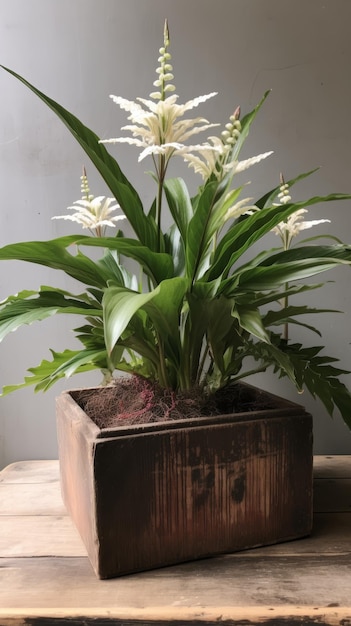 Potted Plant on Wooden Table