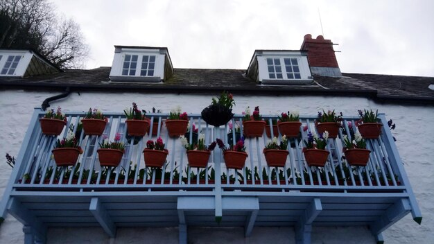 Photo potted plants on balcony against building