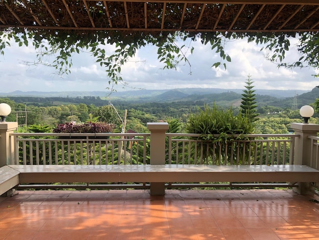 Foto piante in vaso sul balcone contro il cielo