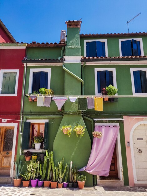 Potted plants on balcony of building in murano island
