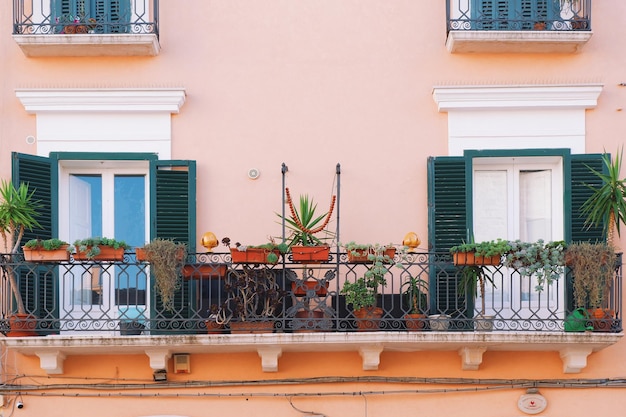 Foto piante in vaso sul balcone di un edificio