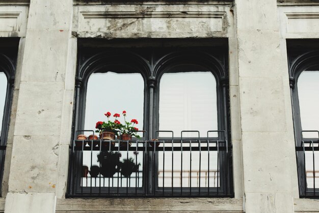 Photo potted plants on balcony of building