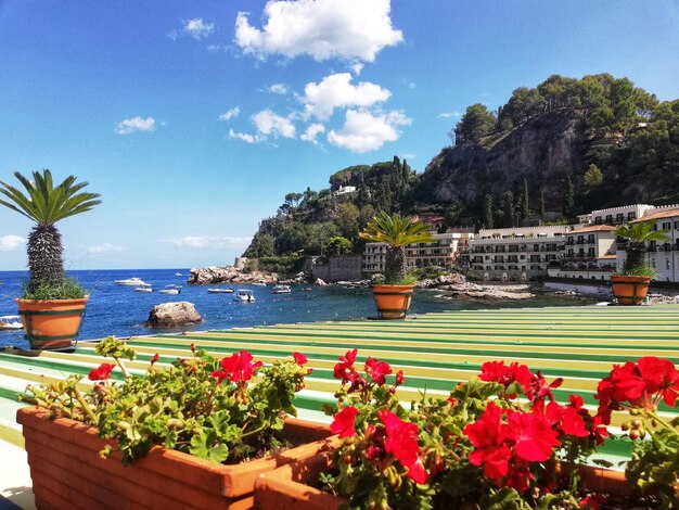 Photo potted plants by sea against sky