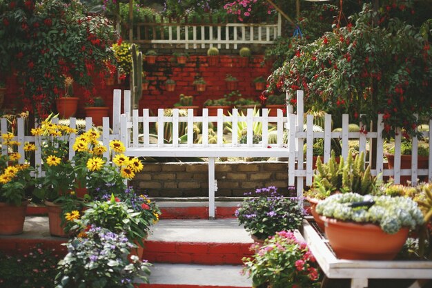 Potted plants in garden