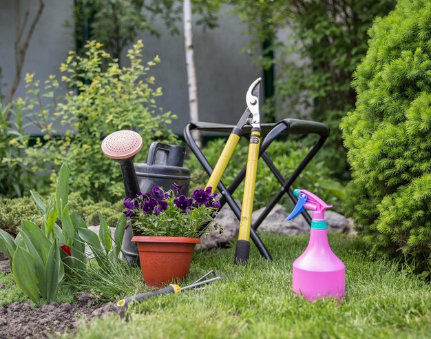 Photo potted plants in garden