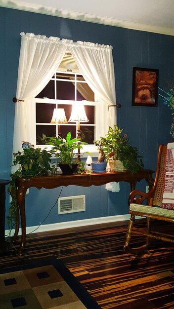 Potted plants in the house