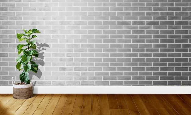 Фото Растения в горшках на деревянном полу на стене