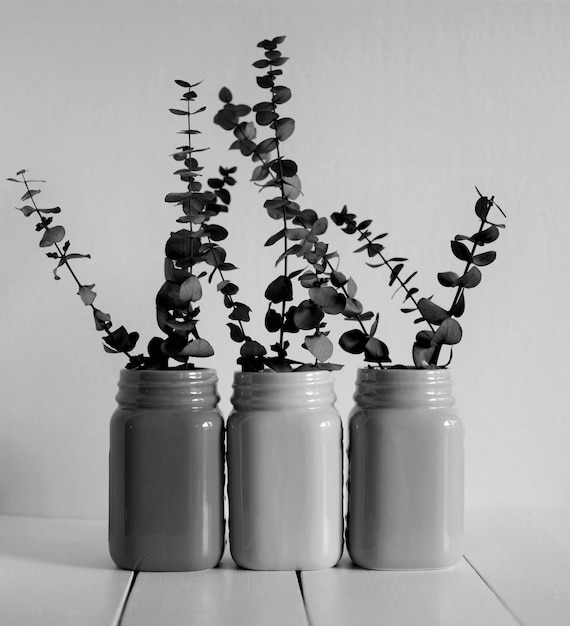 사진 벽 에 붙어 있는 테이블 에 있는 비 식물 들