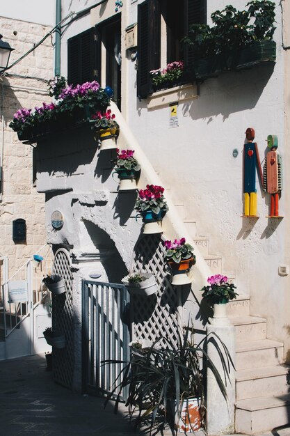 Photo potted plants outside building in city