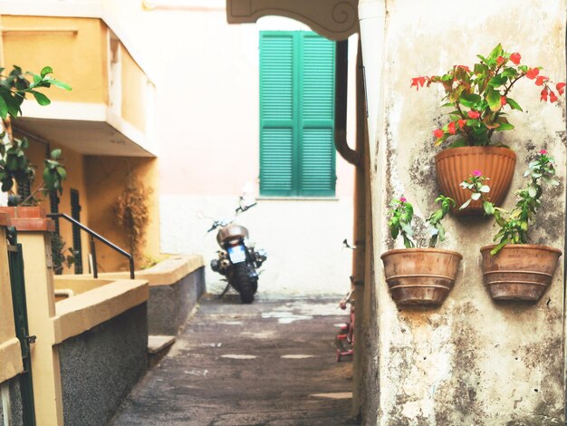 Photo potted plants outside house