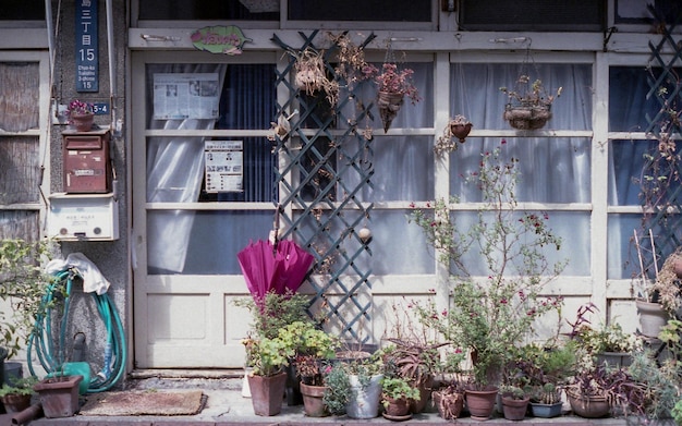 Photo potted plants outside house