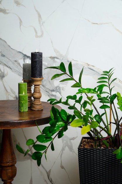 Potted plants in room with candles