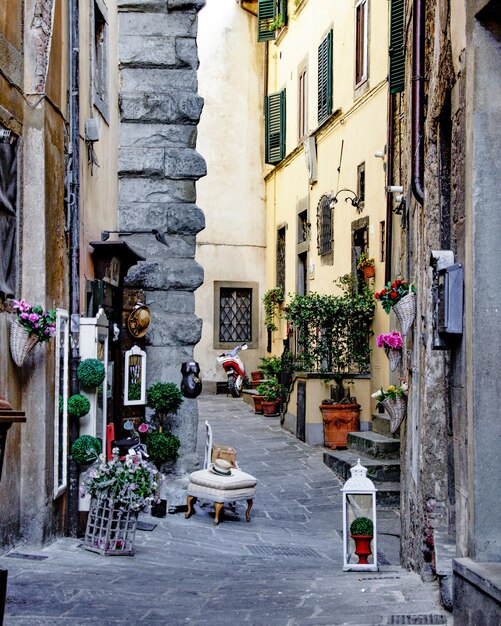 Foto piante in vaso in strada contro l'edificio