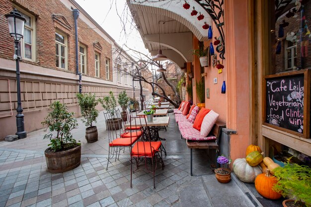 Potted plants on table by building in city