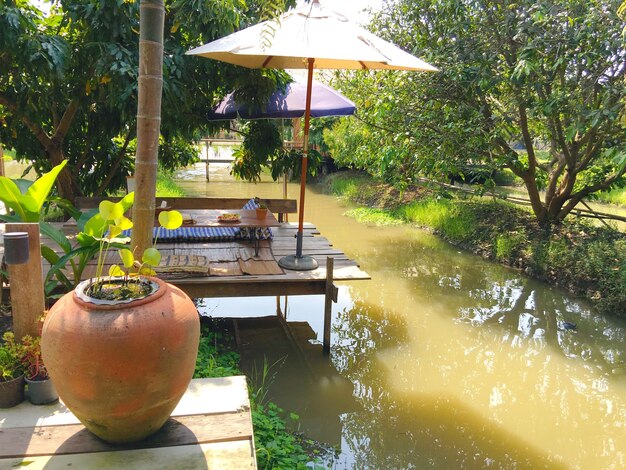 Photo potted plants on table by swimming pool against lake