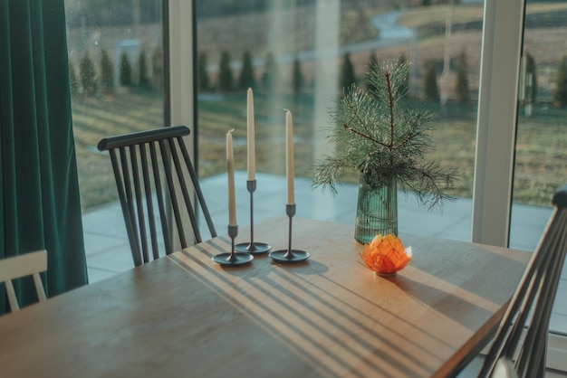 Potted plants on table by window at home