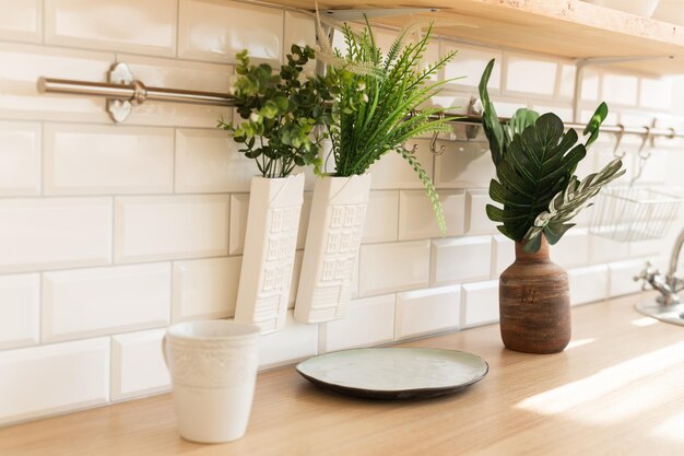 Photo potted plants on table at home