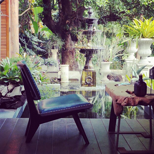 Photo potted plants on table at home