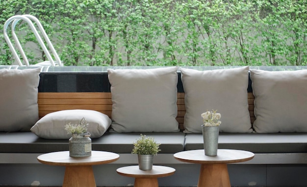 Photo potted plants on table