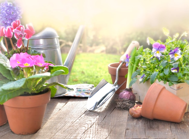 Photo potted plants on table