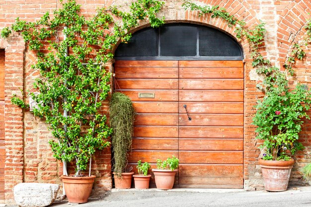 Photo potted plants on wall of building