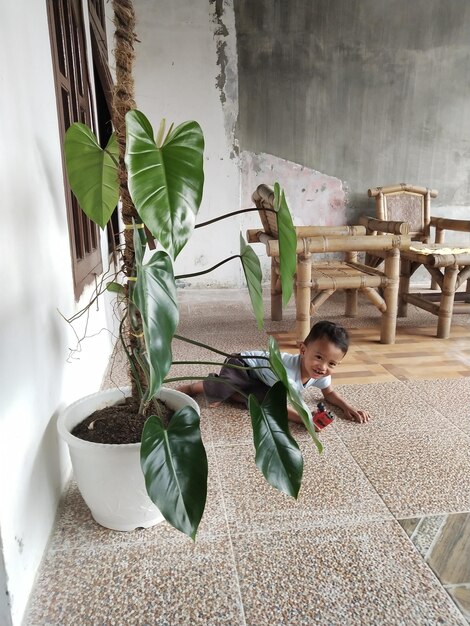 Photo potted plants on wall at home