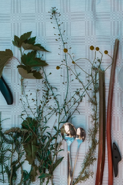 Photo potted plants on wall