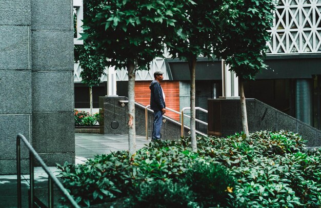 Foto piante in vaso nel cortile contro l'edificio