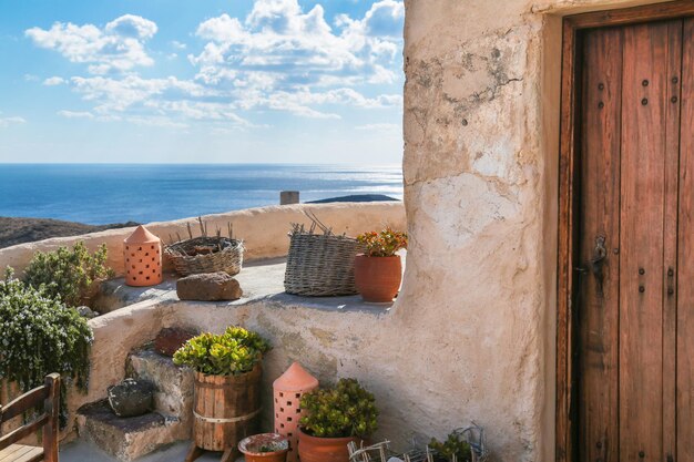 Photo potted plants in yard against sea