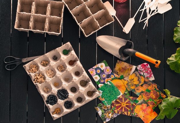 Potted seedlings growing in biodegradable pots on wooden background with copy space, view from above