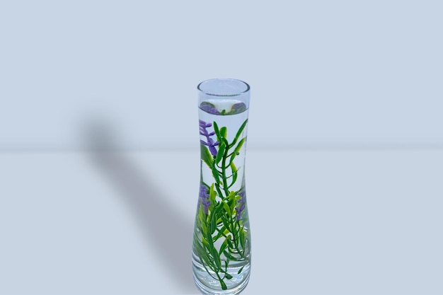 Potten Indoor Vase en Planten Mockup 3D Decoratief