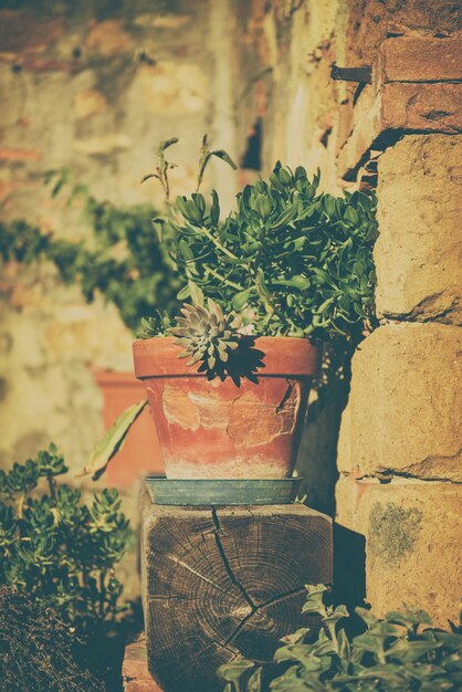 Potten met bloemen op de Italiaanse straat, natuurlijke reis traditionele vintage retro achtergrond