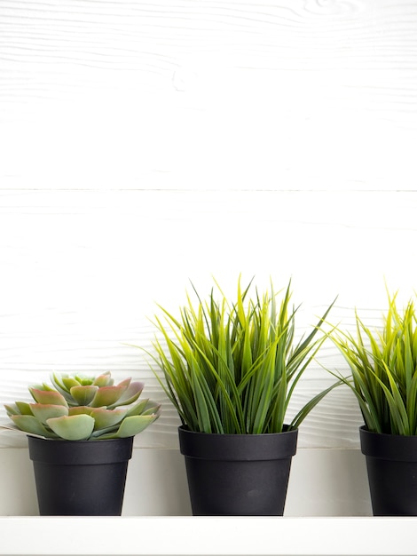 Potten met vetplanten op tafel