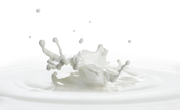 Pouring of milk splash isolated white background