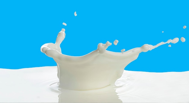 Pouring of milk splash isolated white background