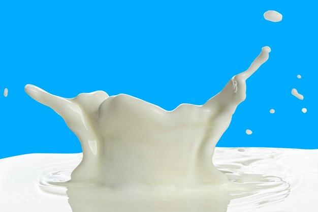 Pouring of milk splash isolated white background