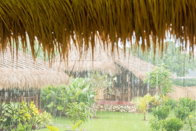 Pouring tropical rain