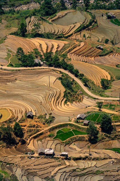 The pouring water season makes the terraced fields of y ty commune lao cai province vietnam appear with brown soil blending with the beautiful sky